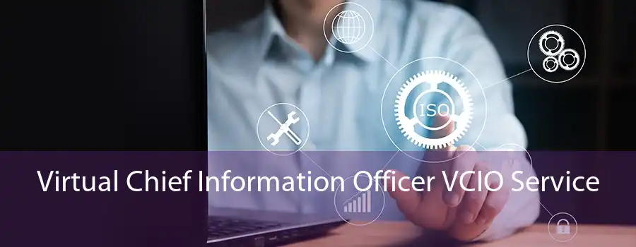 Virtual Chief Information Officer VCIO Service 