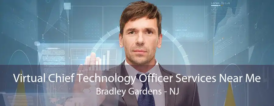 Virtual Chief Technology Officer Services Near Me Bradley Gardens - NJ