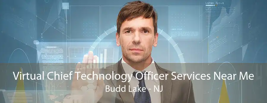 Virtual Chief Technology Officer Services Near Me Budd Lake - NJ