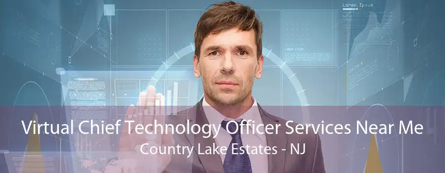 Virtual Chief Technology Officer Services Near Me Country Lake Estates - NJ