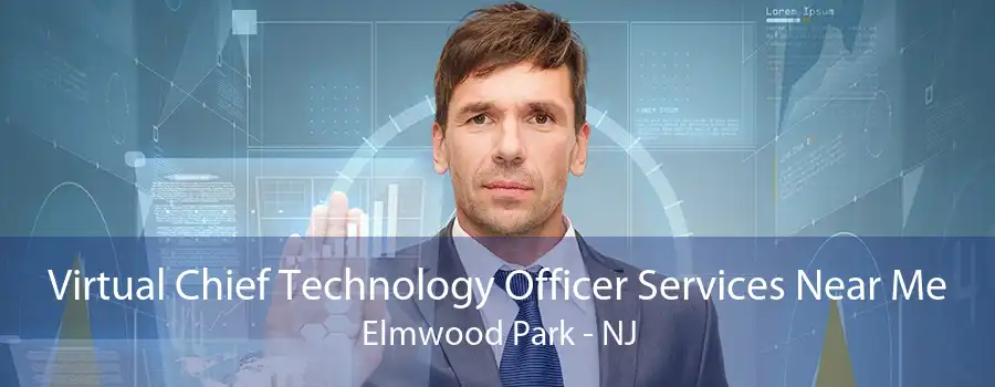 Virtual Chief Technology Officer Services Near Me Elmwood Park - NJ