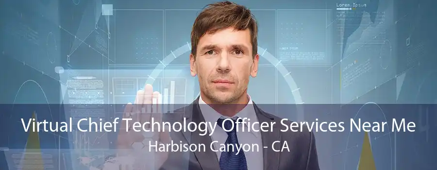 Virtual Chief Technology Officer Services Near Me Harbison Canyon - CA