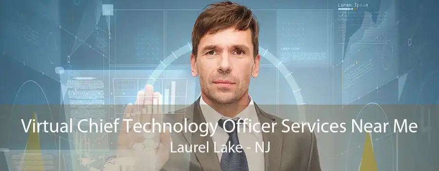 Virtual Chief Technology Officer Services Near Me Laurel Lake - NJ