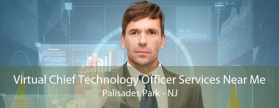 Virtual Chief Technology Officer Services Near Me Palisades Park - NJ