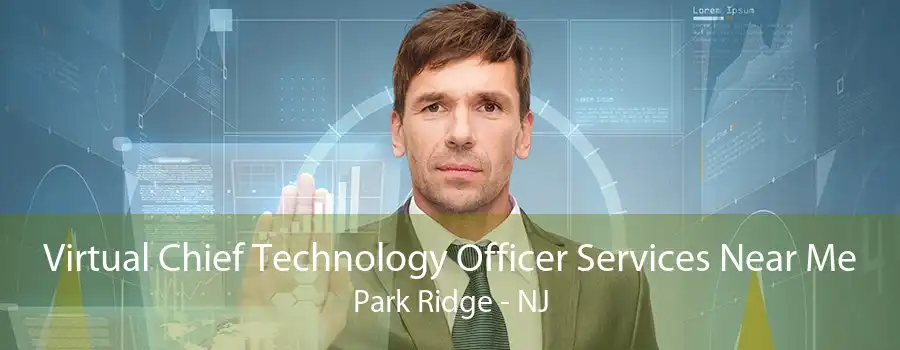 Virtual Chief Technology Officer Services Near Me Park Ridge - NJ