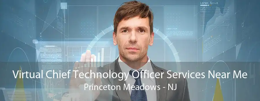 Virtual Chief Technology Officer Services Near Me Princeton Meadows - NJ