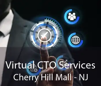 Virtual CTO Services Cherry Hill Mall - NJ