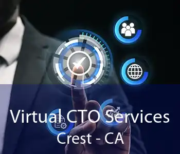 Virtual CTO Services Crest - CA