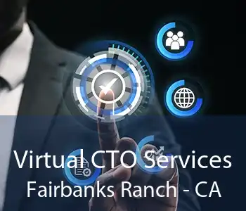 Virtual CTO Services Fairbanks Ranch - CA