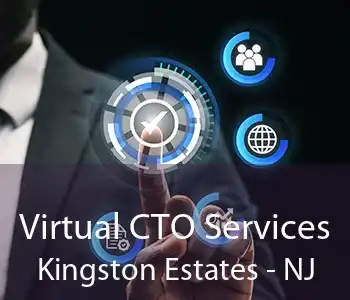 Virtual CTO Services Kingston Estates - NJ