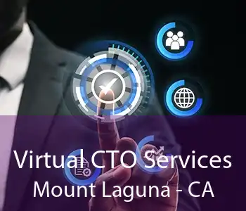 Virtual CTO Services Mount Laguna - CA