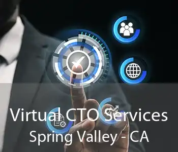 Virtual CTO Services Spring Valley - CA