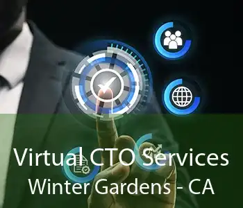 Virtual CTO Services Winter Gardens - CA