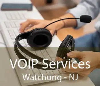 VOIP Services Watchung - NJ