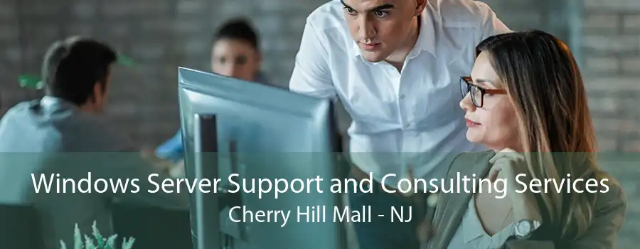 Windows Server Support and Consulting Services Cherry Hill Mall - NJ
