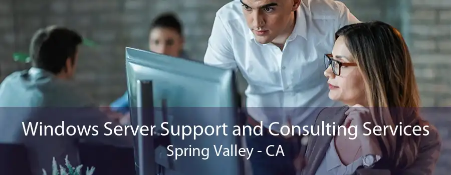 Windows Server Support and Consulting Services Spring Valley - CA