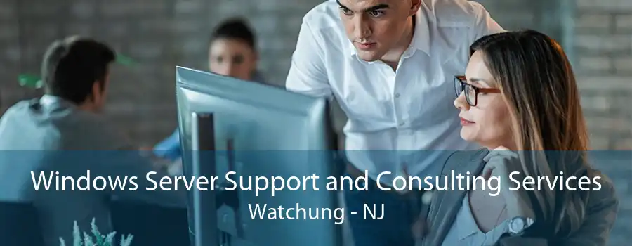 Windows Server Support and Consulting Services Watchung - NJ