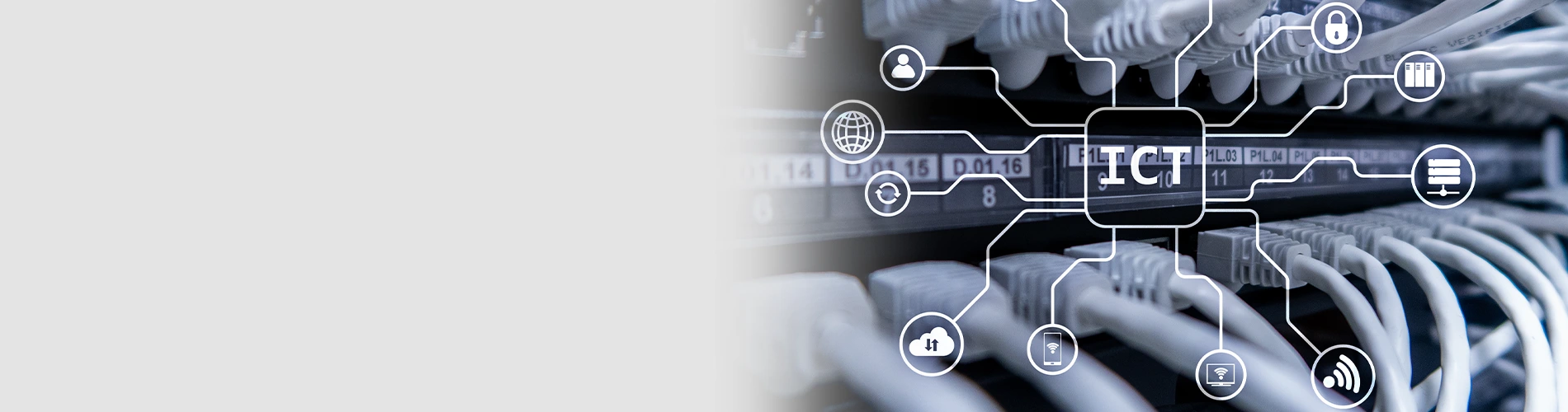 Network Data Cabling Services - Race Computer Services